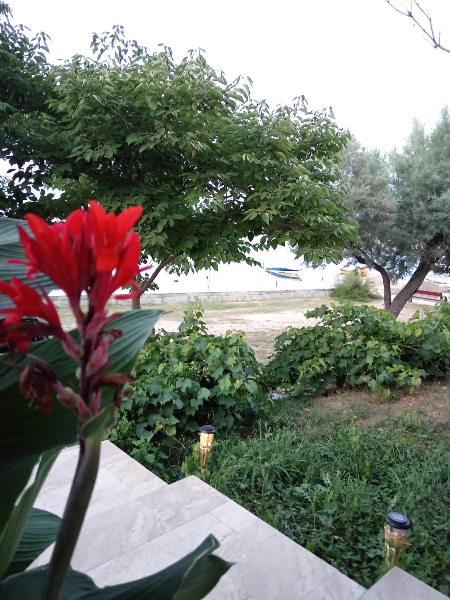 Seaview Holiday Apartments, Ventura Nin Exteriör bild